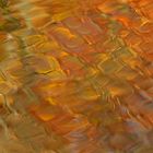 Herbst – Orange im Teich 03