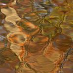 Herbst – Orange im Teich 06