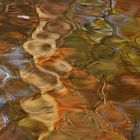 Herbst – Orange im Teich 08