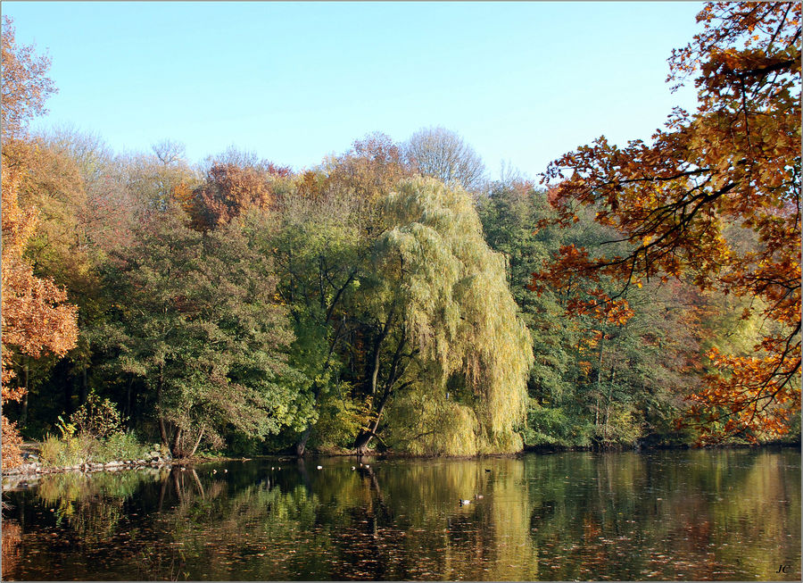 Herbst # Otoño