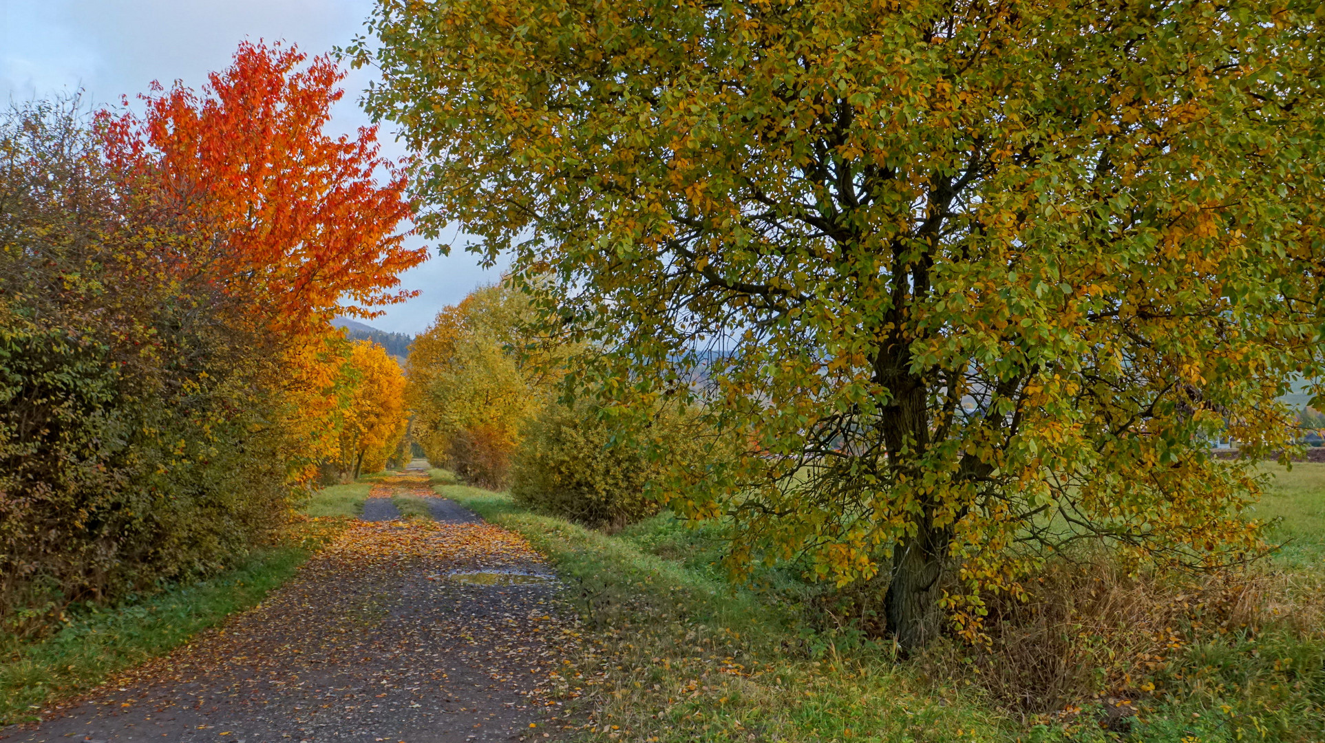 Herbst (otoño)