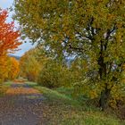 Herbst (otoño)