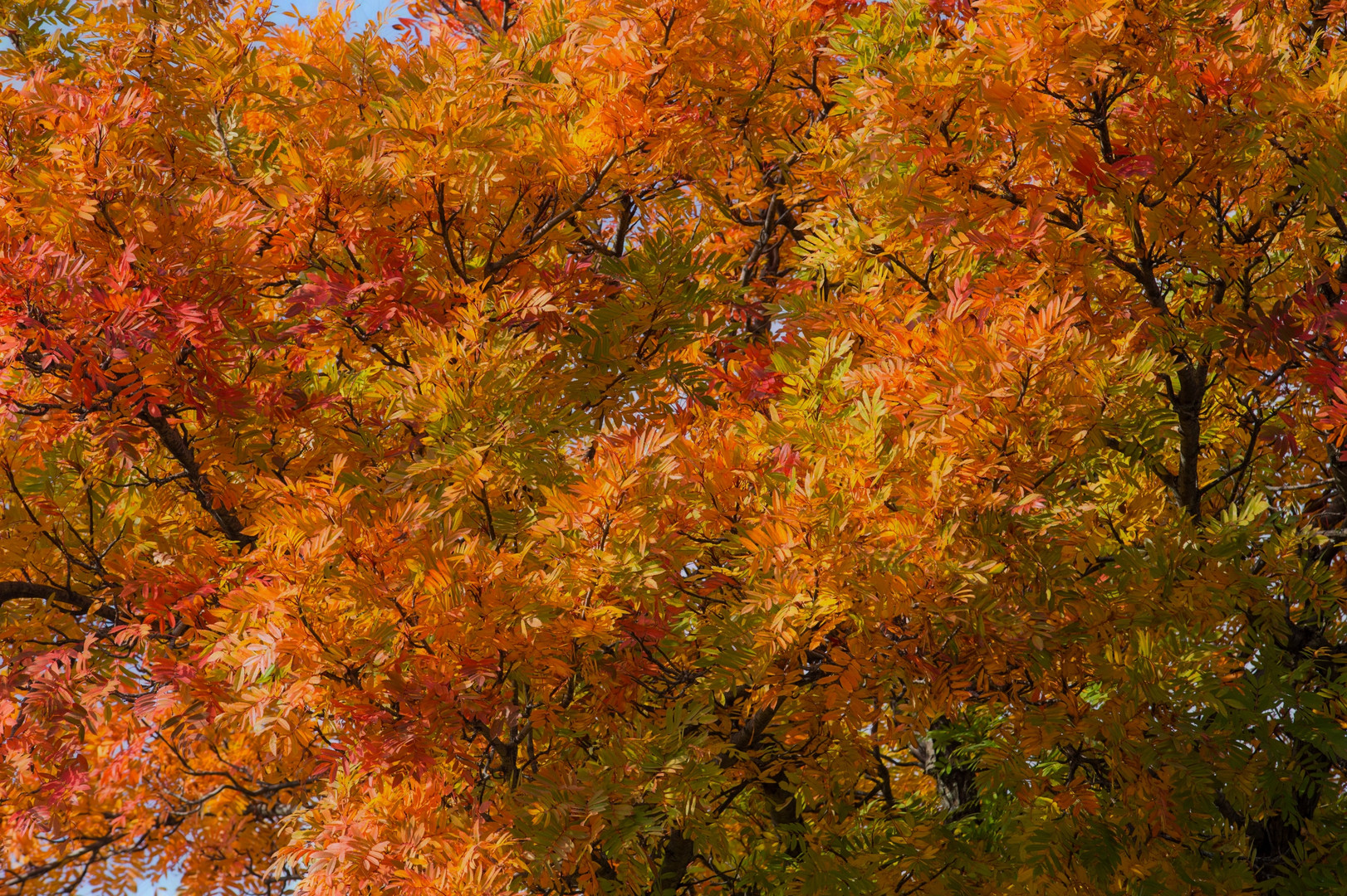 Herbst-'outfit'