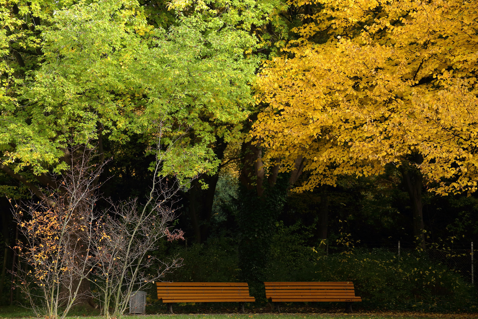 Herbst paarweise