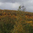 Herbst-Pano...