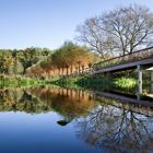 Herbst Pano Wiesenbrücke