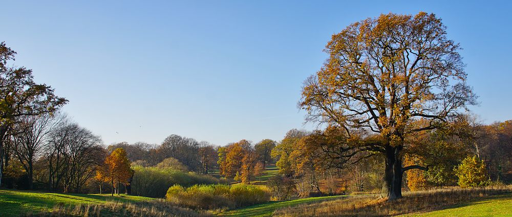 Herbst-Panorama