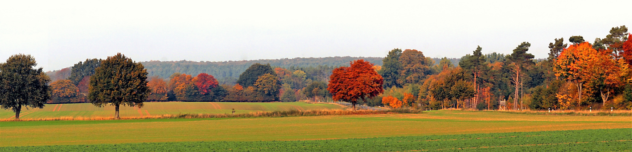 Herbst Panorama