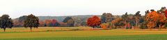 Herbst Panorama