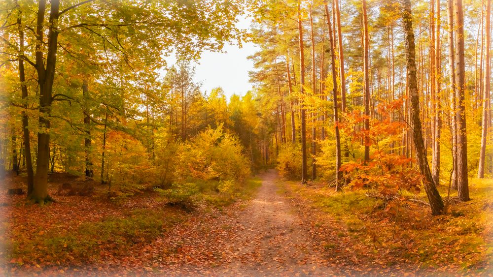 Herbst-Panorama II