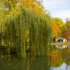 Herbst Panorama im Park