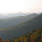 Herbst Pfälzerwald