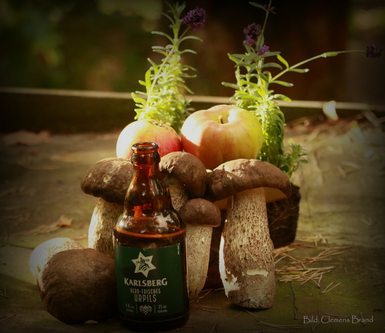 Herbst Pilz mit Pils und Vignette