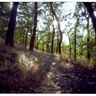 Herbst @ Pinhole