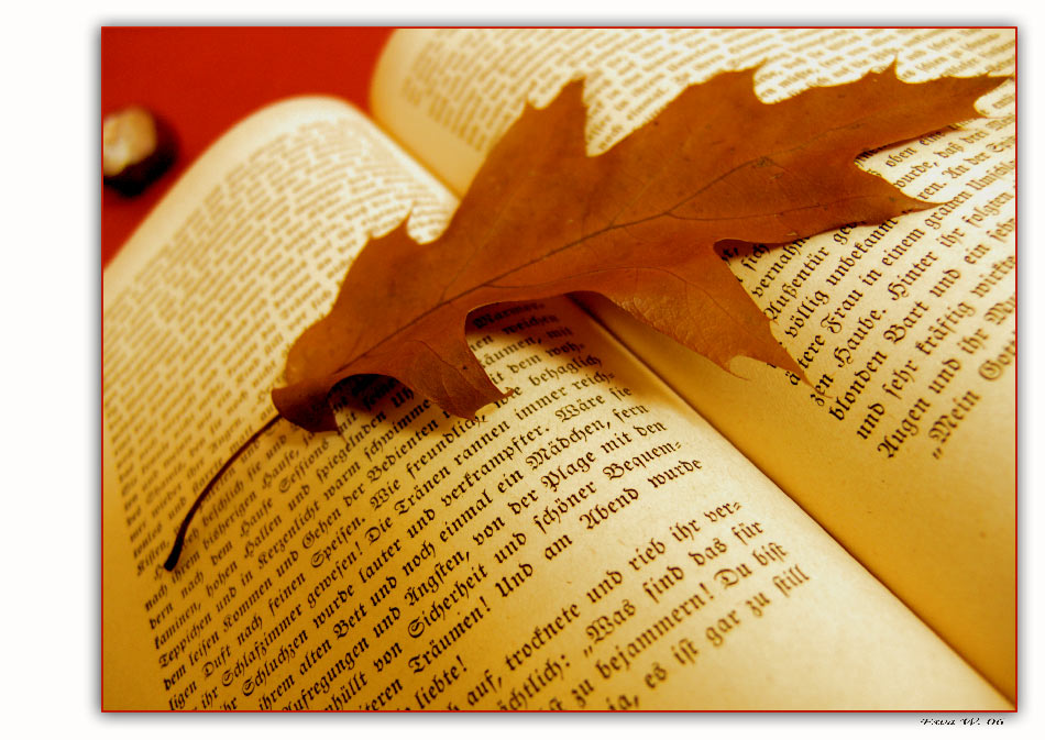 Herbst Poesie….