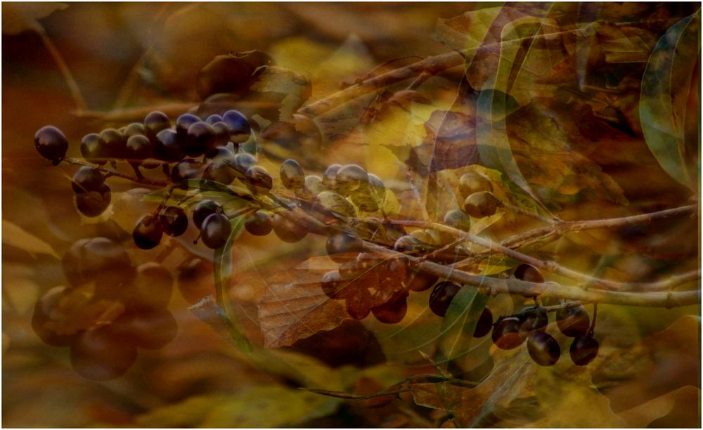 . Herbst-Potpourri .