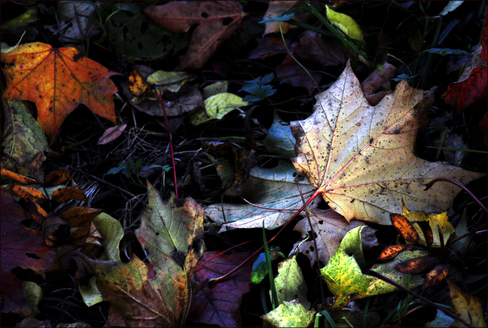 Herbst Power