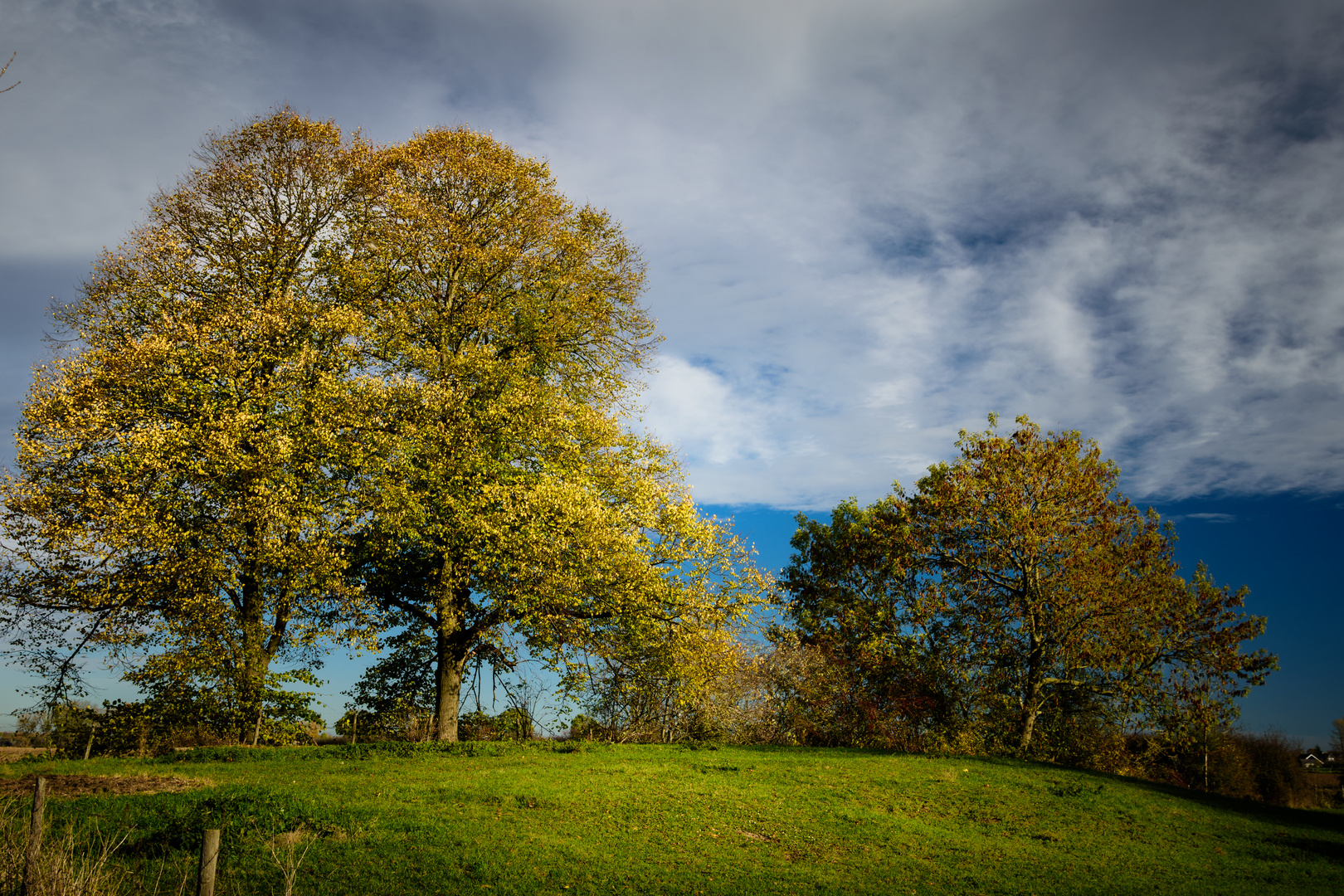 Herbst-Präsentation