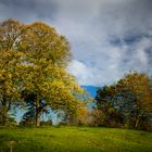 Herbst-Präsentation