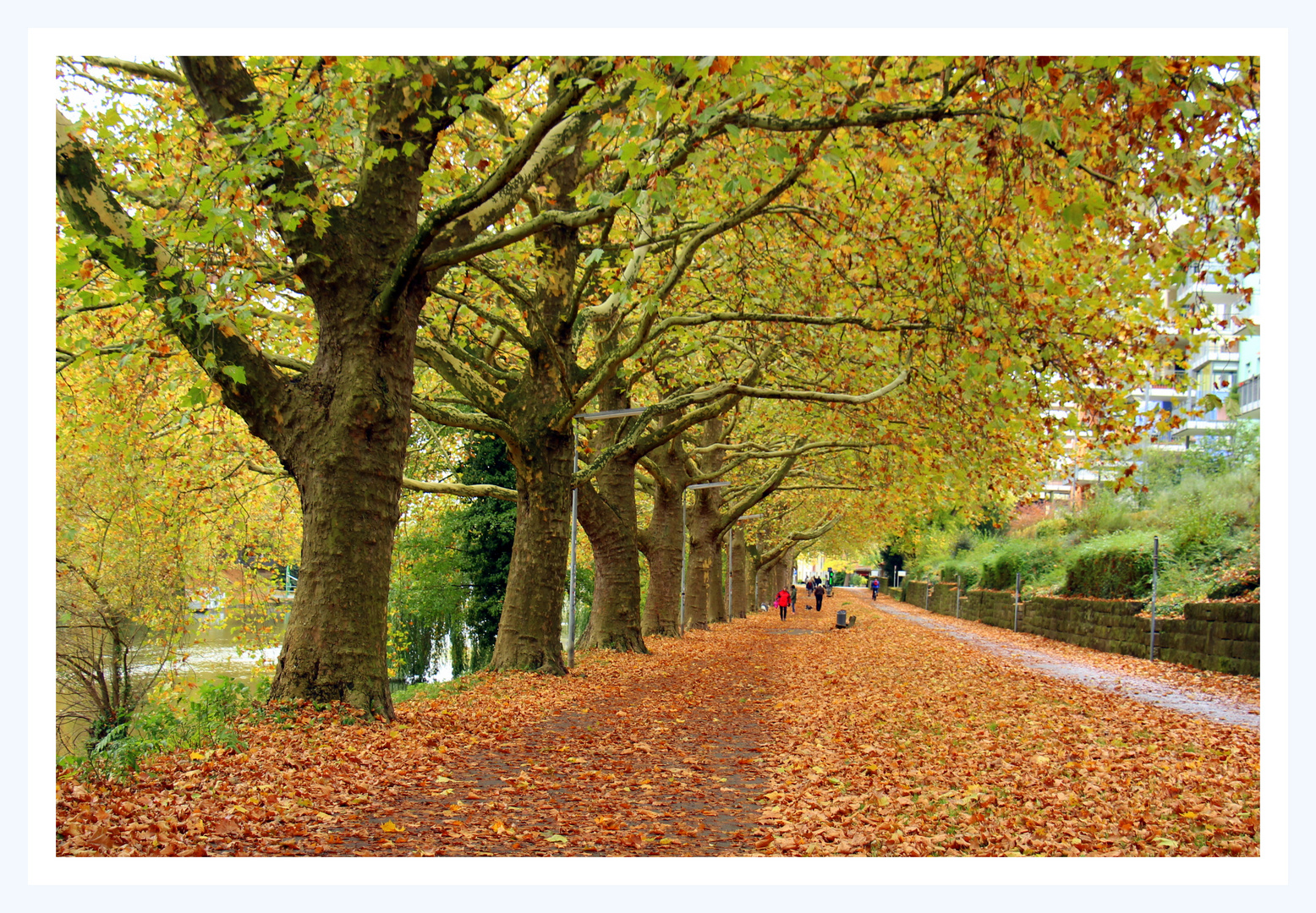 Herbst Promenade, Heilbronn