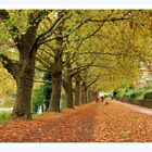 Herbst Promenade, Heilbronn