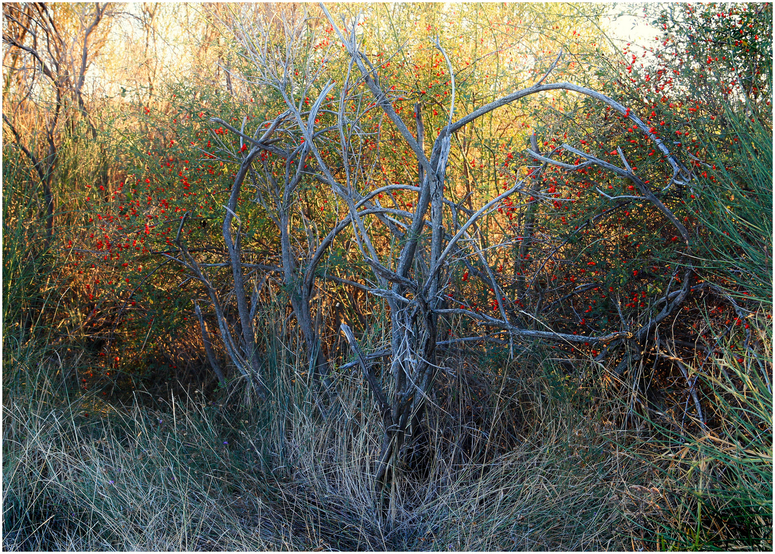  herbst provence 