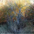  herbst provence 