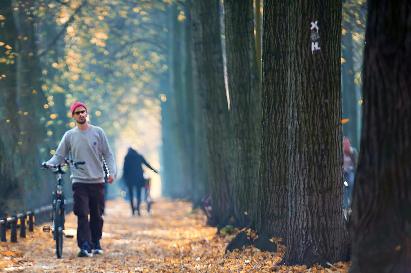 Herbst Puls "Münster"