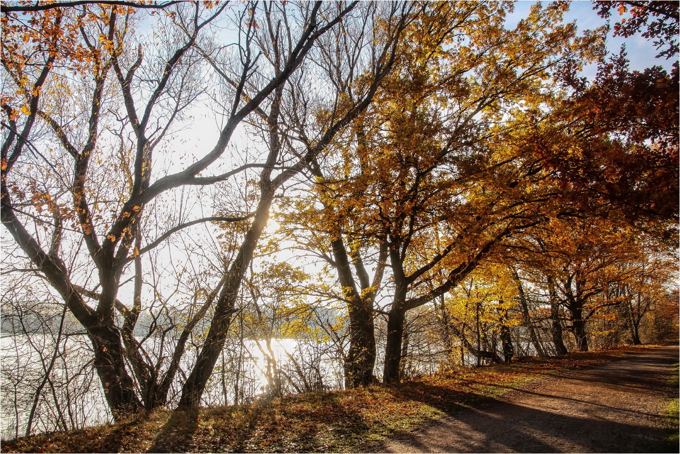 Herbst pur