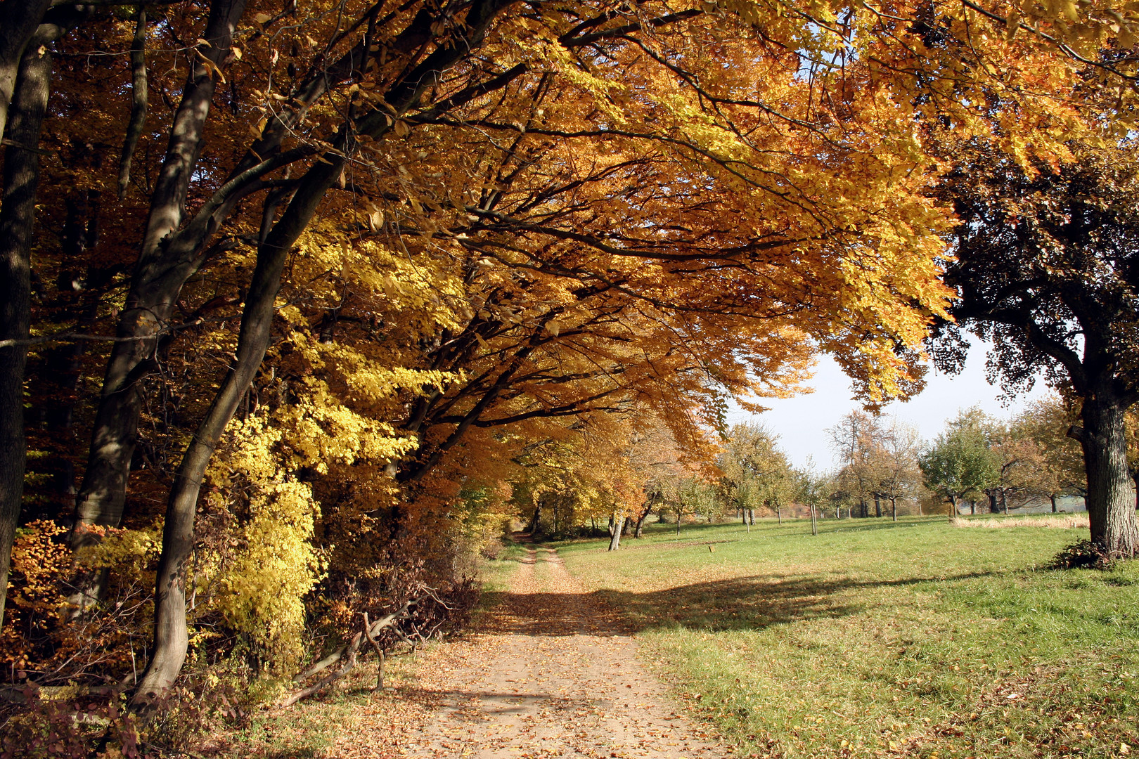 Herbst pur (4)