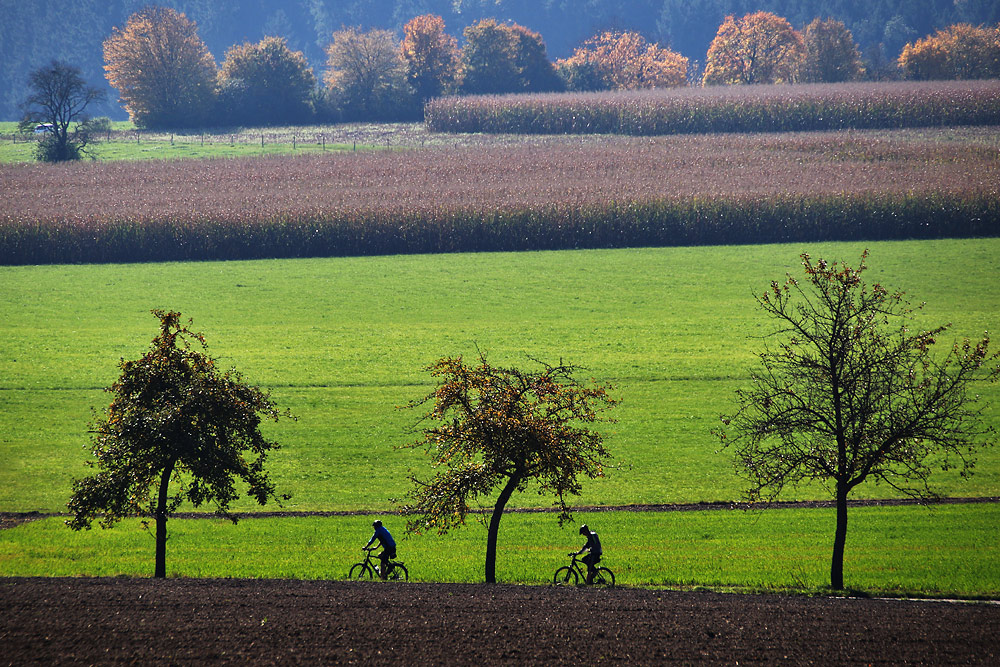 "Herbst-Radler"