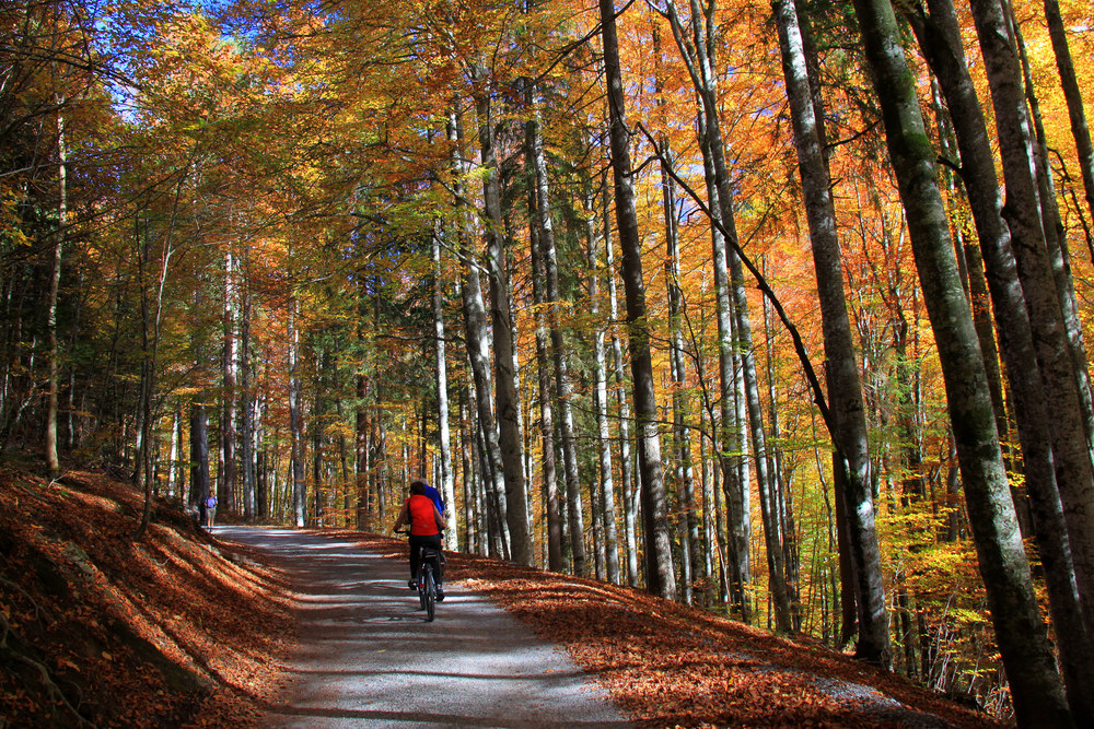 Herbst-Radler