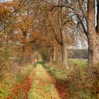 Herbst-Radweg