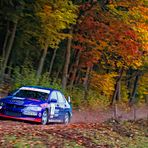 Herbst-Rallye