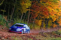 Herbst-Rallye