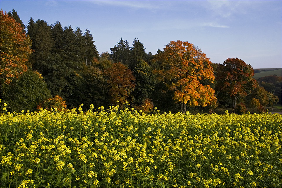 Herbst-Raps