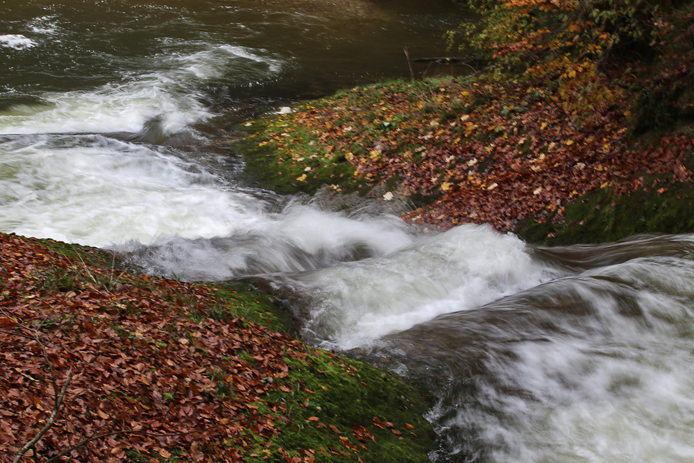 "Herbst-Rauschen"