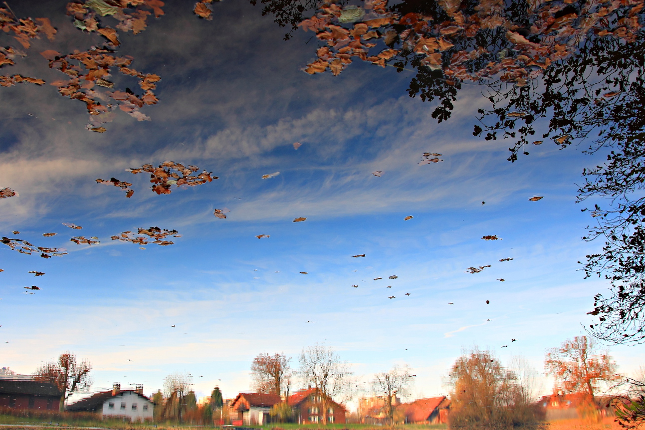 HERBST REFLEXION