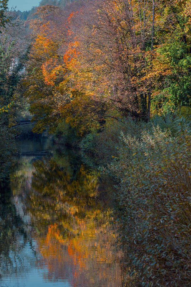 Herbst Reflexion