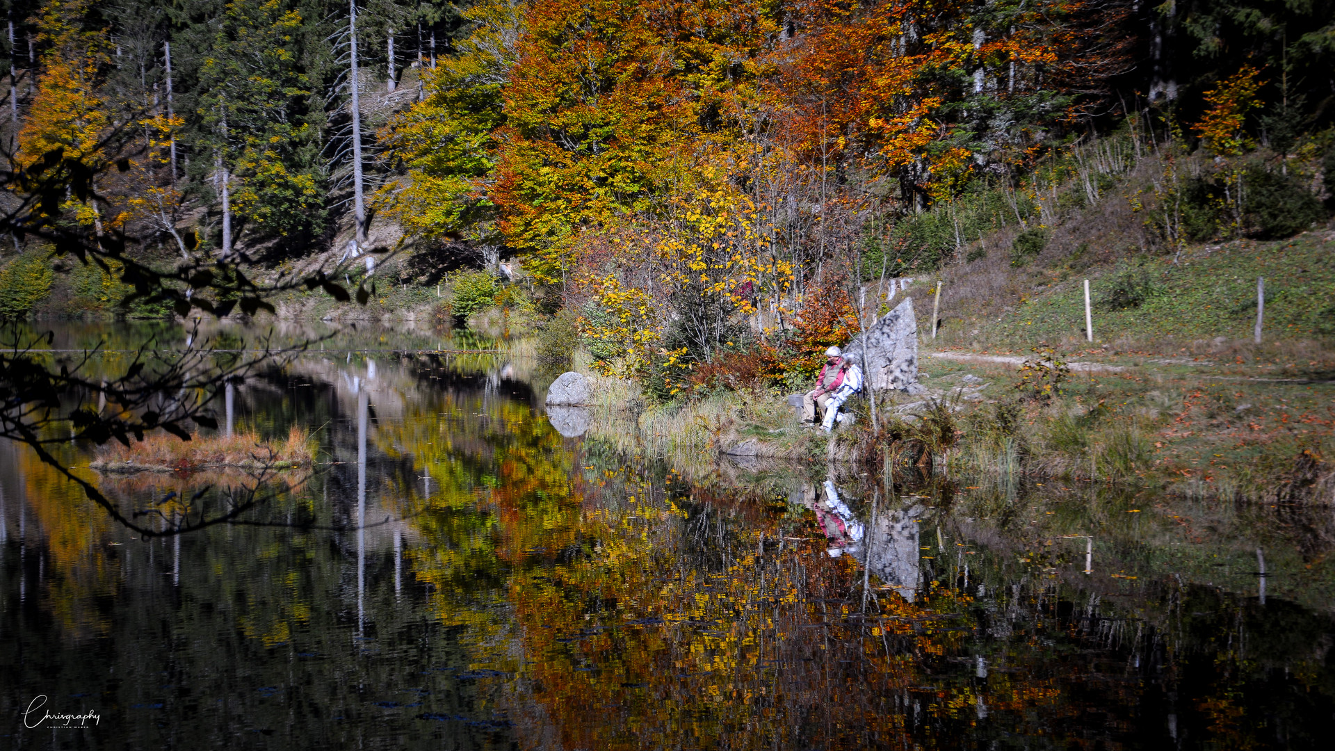 Herbst Reflexion