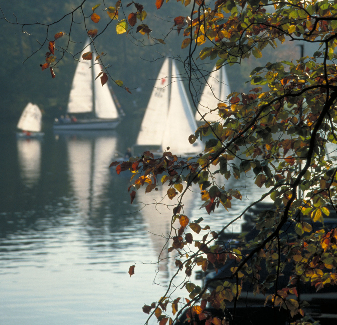 Herbst-Regatta