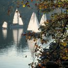 Herbst-Regatta