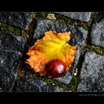 Herbst Regen