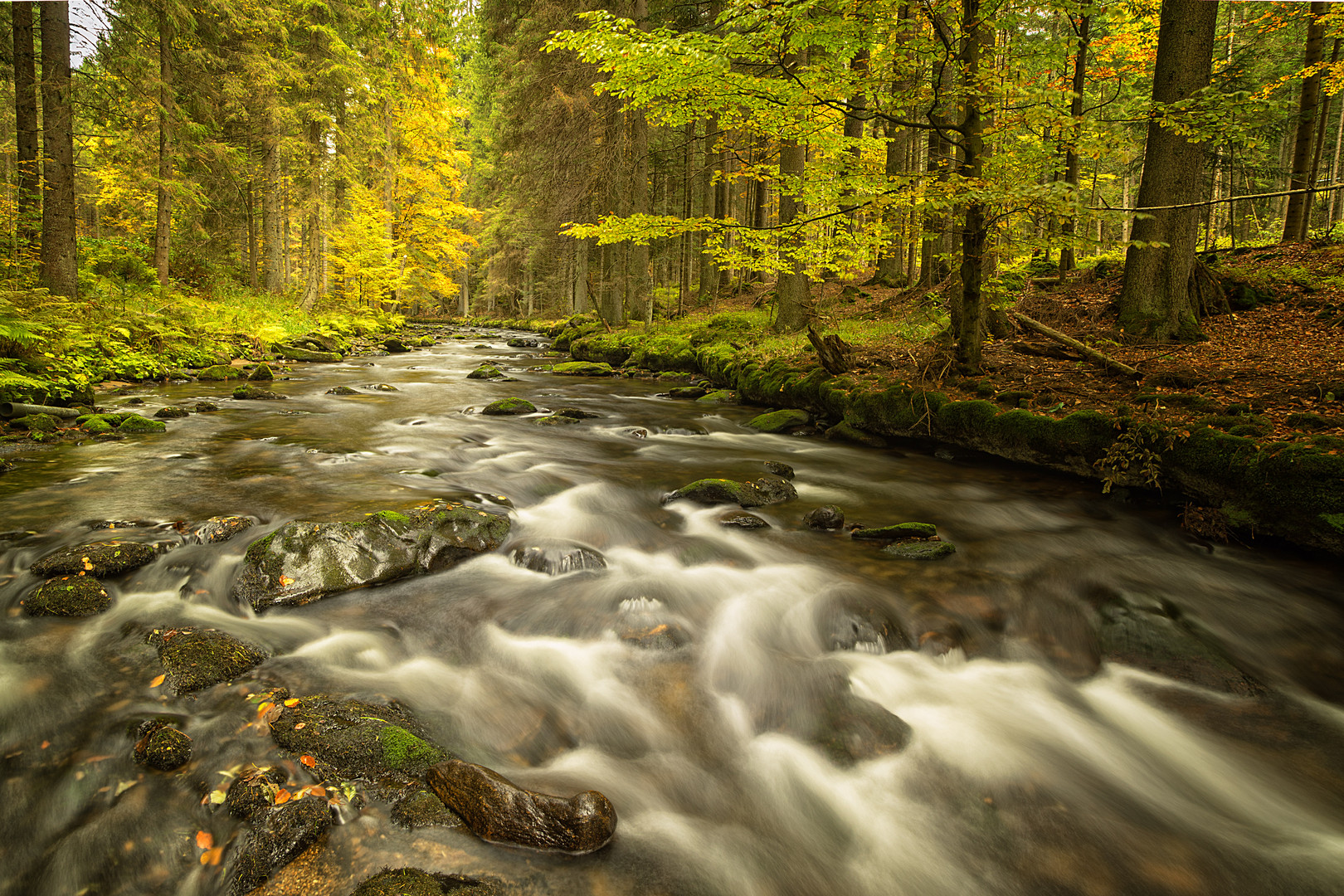 Herbst-Regen