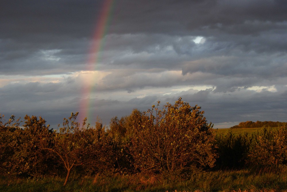 Herbst - Regenbogen