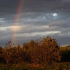 Herbst - Regenbogen