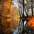 Herbst Reise Farbenspiel der Natur, Himmel, Wasser und der Herbst.