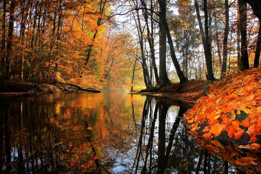 Herbst Reise Farbenspiel der Natur, Himmel, Wasser und der Herbst.