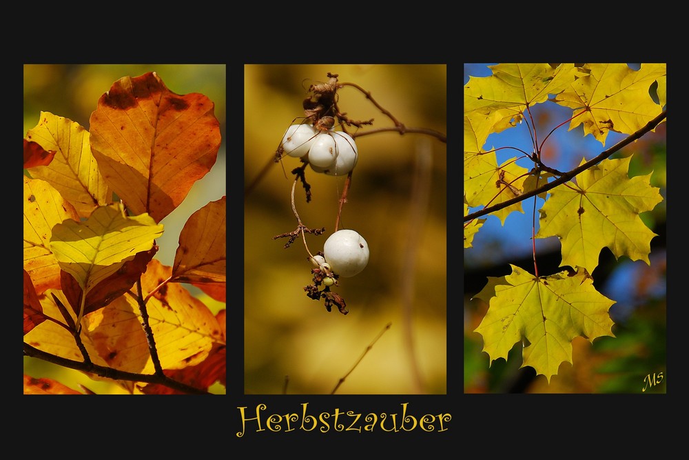 Herbst (reload)