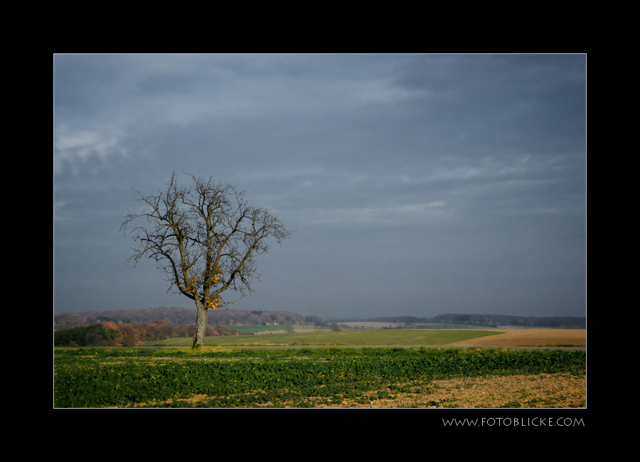 Herbst Rest